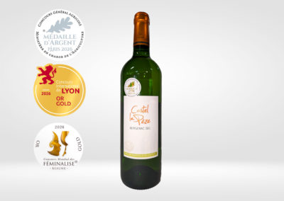 Bergerac Blanc Sec 2025