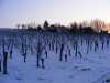 castel sous la neige